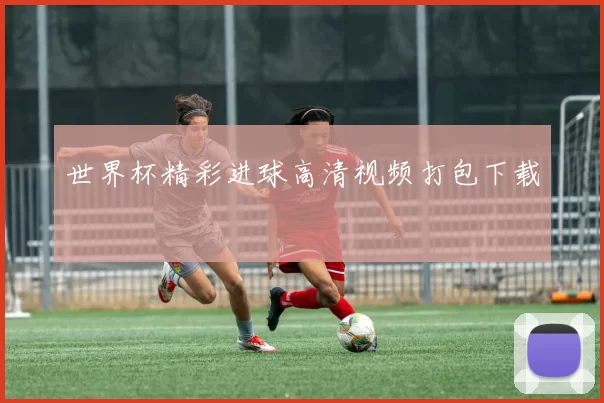 世界杯精彩进球高清视频打包下载