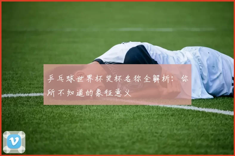 乒乓球世界杯奖杯名称全解析：你所不知道的象征意义