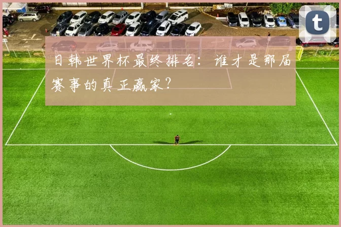日韩世界杯最终排名:谁才是那届赛事的真正赢家?