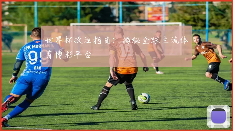 世界杯投注指南:揭秘全球主流体育博彩平台