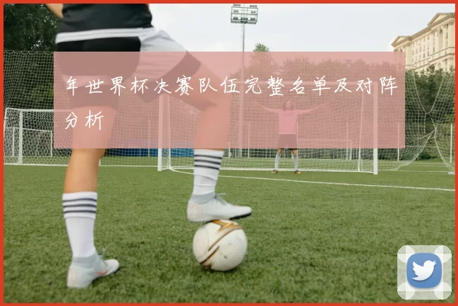 年世界杯决赛队伍完整名单及对阵分析