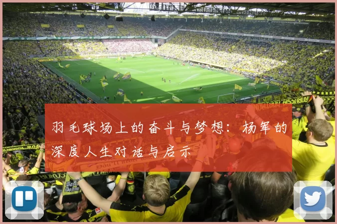 羽毛球场上的奋斗与梦想:杨军的深度人生对话与启示