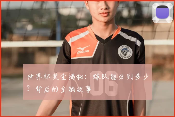 世界杯奖金揭秘：球队能分到多少？背后的金钱故事