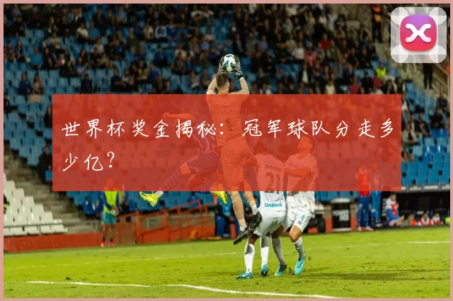 世界杯奖金揭秘：冠军球队分走多少亿？