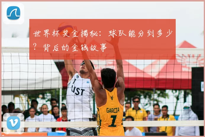 世界杯奖金揭秘：球队能分到多少？背后的金钱故事