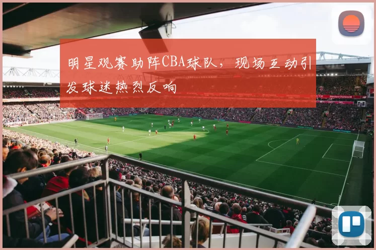 明星观赛助阵CBA球队，现场互动引发球迷热烈反响