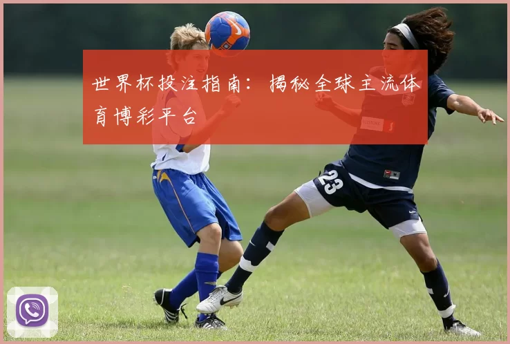 世界杯投注指南:揭秘全球主流体育博彩平台