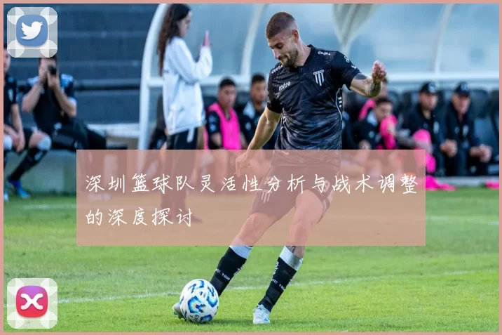 深圳篮球队灵活性分析与战术调整的深度探讨