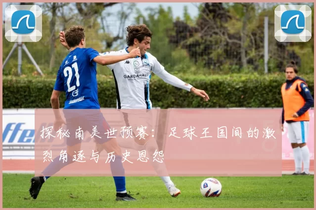 探秘南美世预赛：足球王国间的激烈角逐与历史恩怨