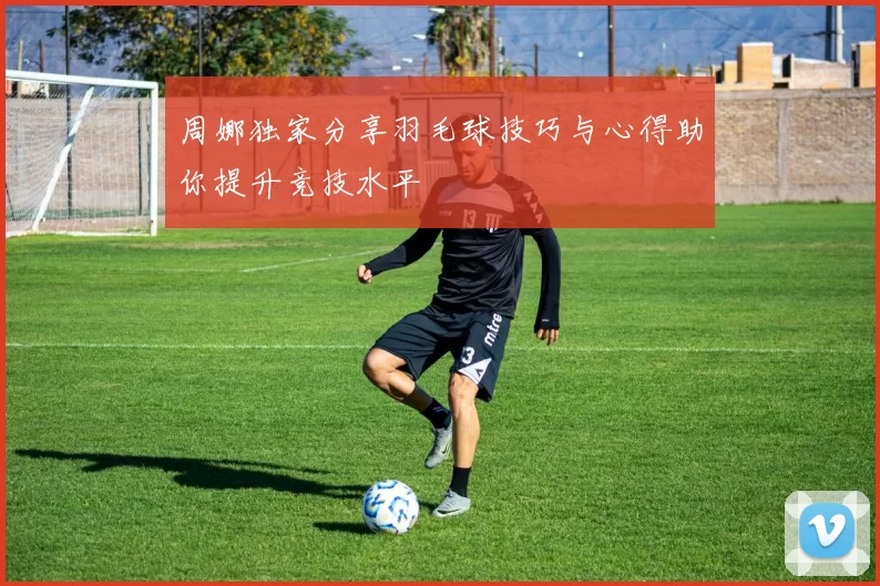 周娜独家分享羽毛球技巧与心得助你提升竞技水平